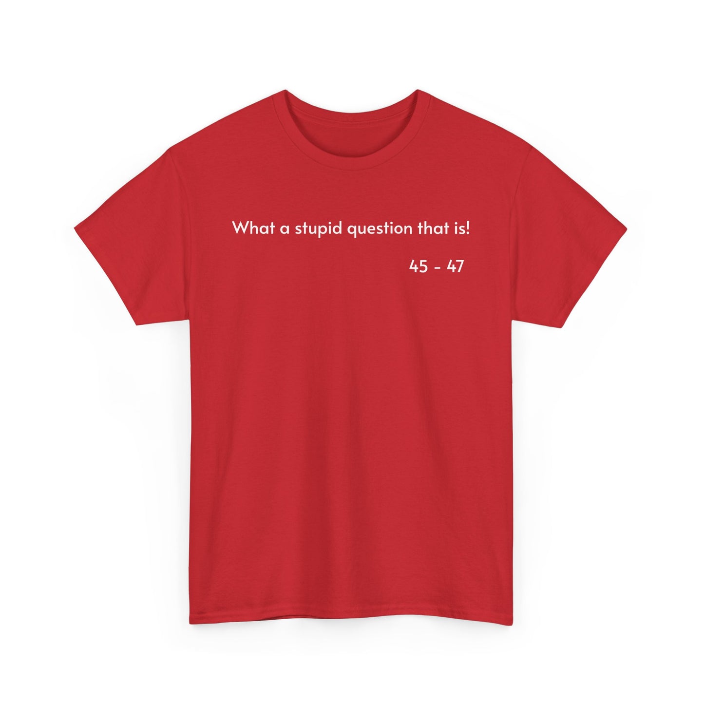 What a stupid question that is! Unisex Heavy Cotton T-Shirt.