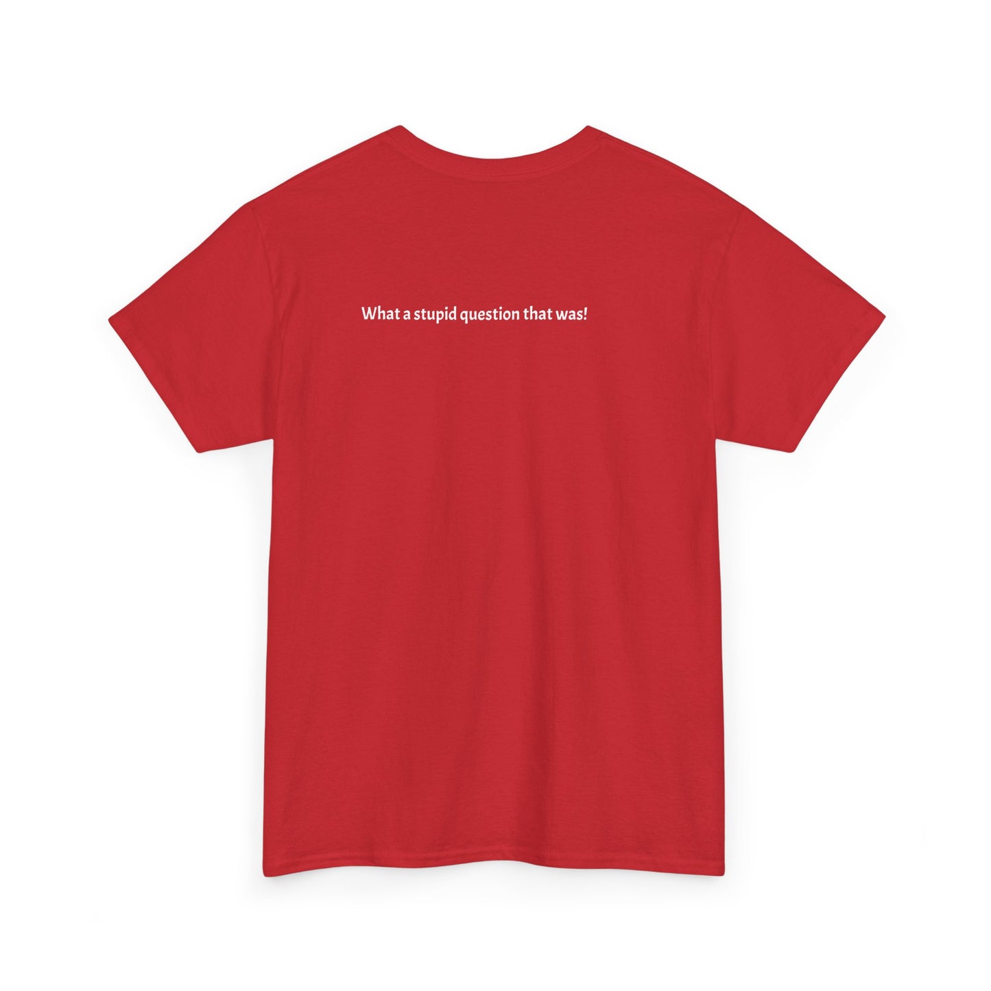 What a stupid question that is! Unisex Heavy Cotton T-Shirt.