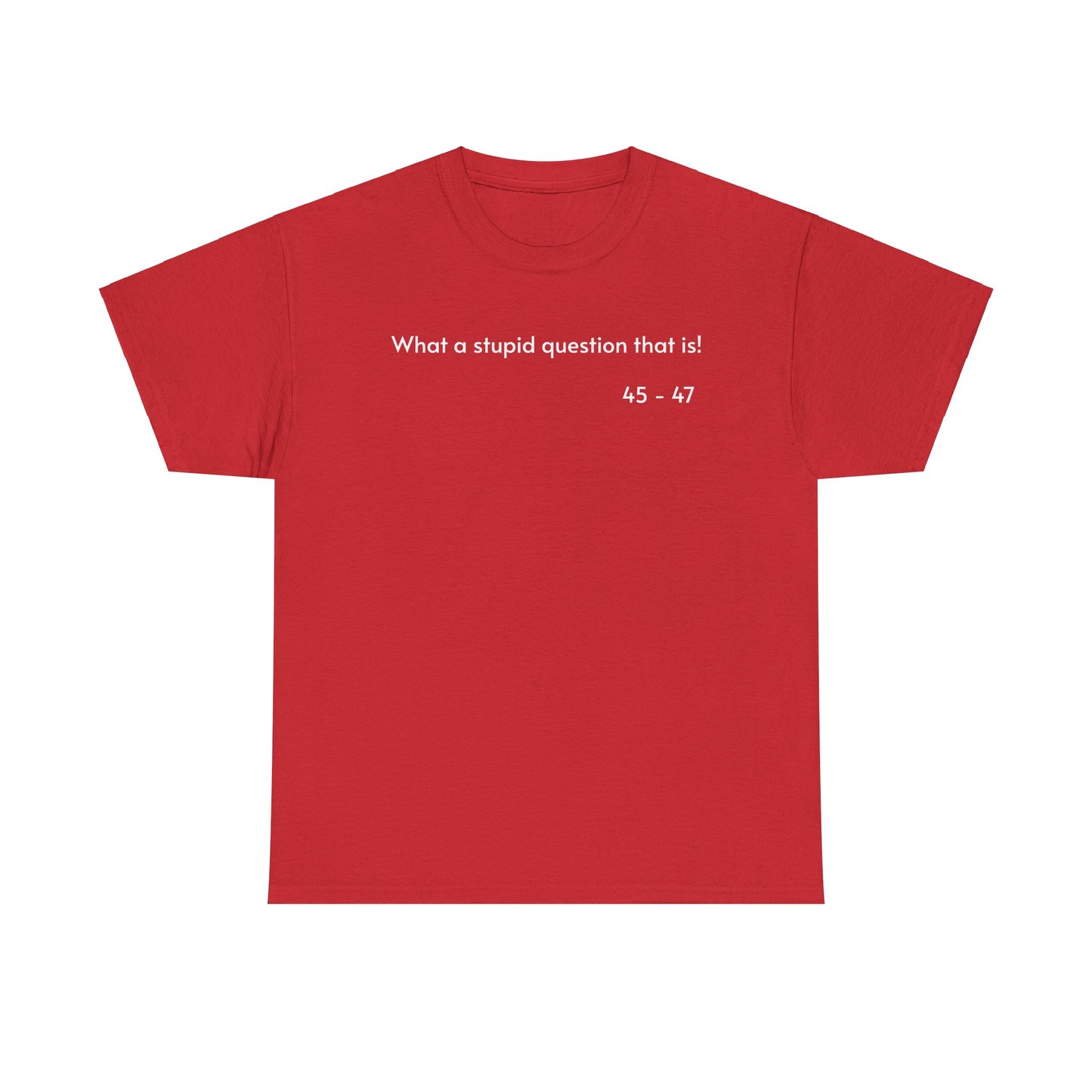 What a stupid question that is! Unisex Heavy Cotton T-Shirt.