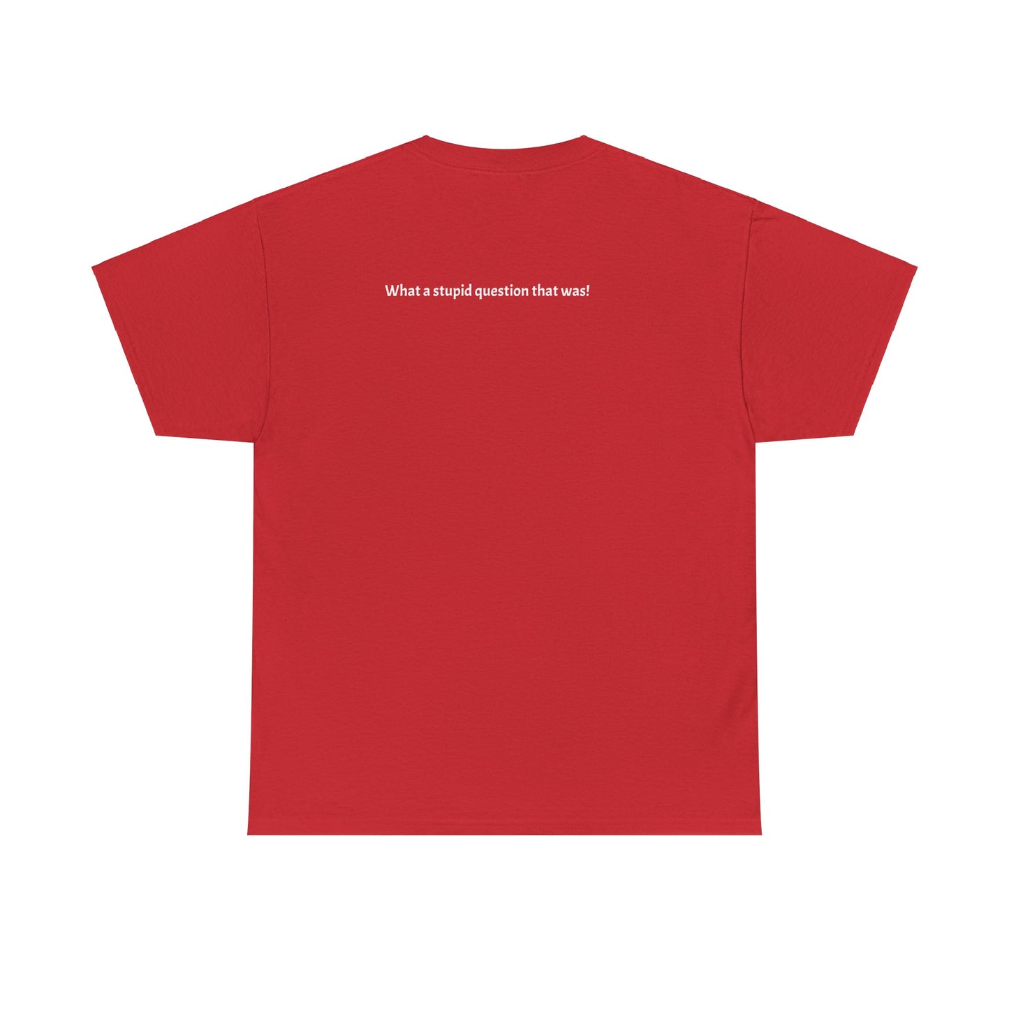 What a stupid question that is! Unisex Heavy Cotton T-Shirt.